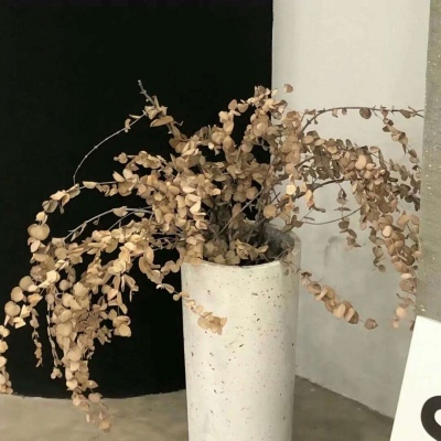 兽设线稿临摹素材福瑞交流群